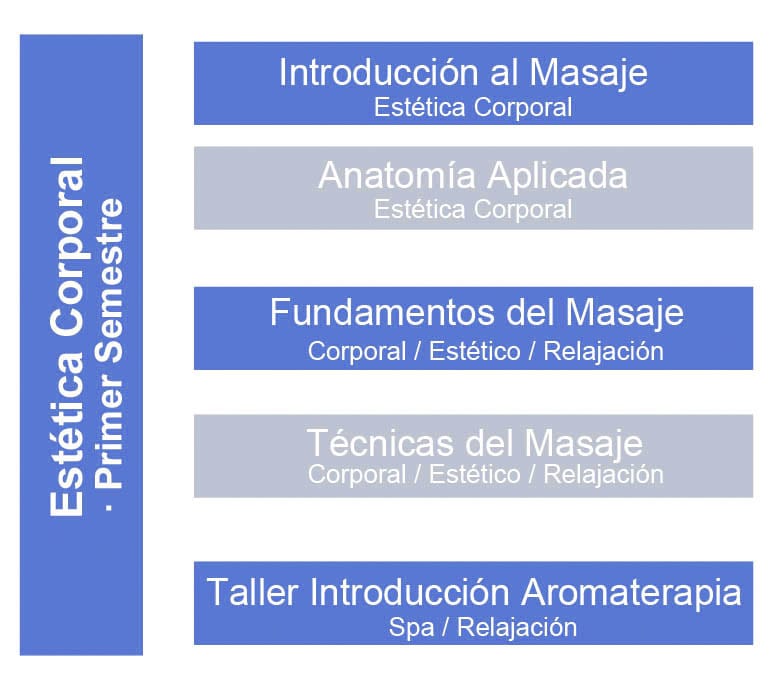 estetica corporal 1